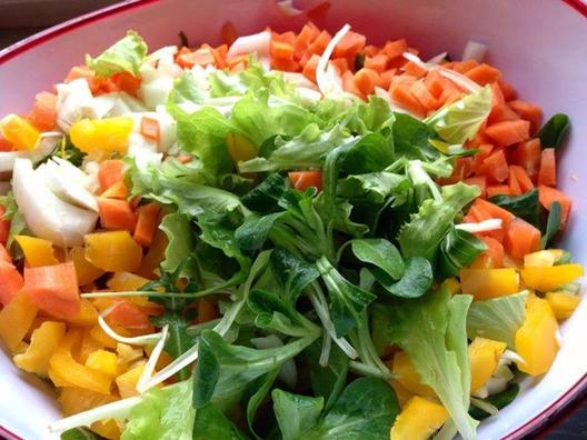 Stadig masser af farver i min salat