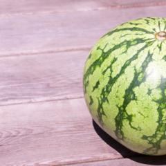 Vandmelon 