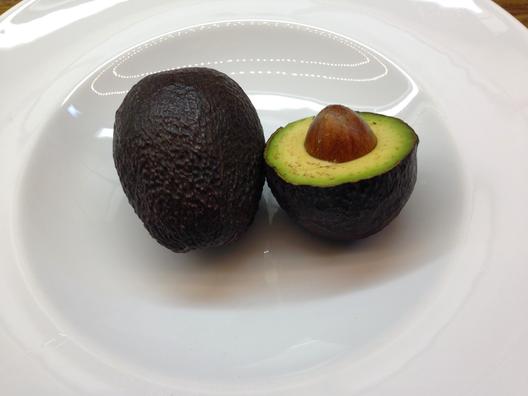 Avocado 