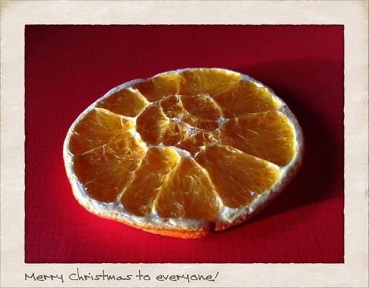 Fruity jul til alle! ❤☀
