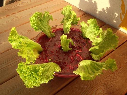 Denne gang er det revet zucchini med en sauce af druer, nogle datoer og selleri, pynt med salat.