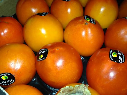 Persimmon 
