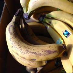 Banan 