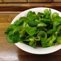 Vårsalat 