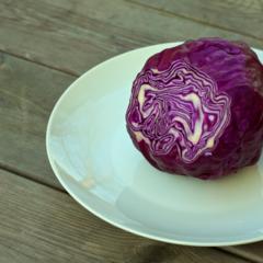 Rødkål 