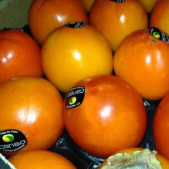 Persimmon 