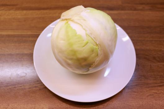 Hvidkål 