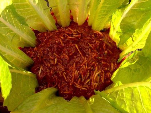 Revet zucchini i en sauce af blommer, datoer og selleri, pynt med Romaine salat! Perfektionere! ❤
