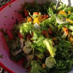 Hjertelig og sprøde salat - salat, cikorie, gulerødder, gul peber, agurk, avocado, citron, basilikum og purløg